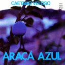 ‘Araçá Azul’ de 1973.