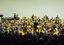 d77f7d79-e24d-4ca9-9b7d-6605eb9a51a8 (1).jpeg