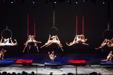 O programa dos cursos de circo inclui técnicas circenses de aéreo, solo e palhaço