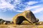 a_MG_6804.jpg