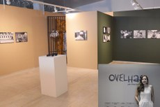 As imagens que compõem a exposição intitulada Ovelhas retratam a vida de reeducandas da Colônia Penal Feminina do Recife 
