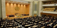 De acordo com a Organização Mundial da Saúde, 80% dos casos registrados de epilepsia estão em países de baixa e média renda