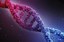 13-12-2017-F-gene.jpg