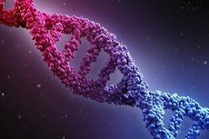 Pesquisadores recrutaram mais de 2 mil homens de duas orientações sexuais (homo e heterossexuais) e analisaram o seu DNA, identificando duas regiões genéticas que aparecem ligadas ao fato de o indivíduo ser ou não homossexual