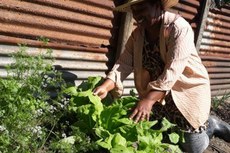 Evento promovido pela Sead reunirá agricultores familiares, técnicos, acadêmicos e representantes do governo federal