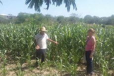 Os técnicos demonstraram como os agricultores devem preparar corretamente o solo para o plantio de culturas de subsistência