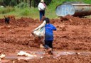 Cerca de 60% das crianças de 5 a 9 anos que são forçadas a executar trabalhos vivem na área rural das regiões Norte e Nordeste