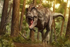 Tyrannosaurus Rex, vulgarmente conhecido como T-Rex