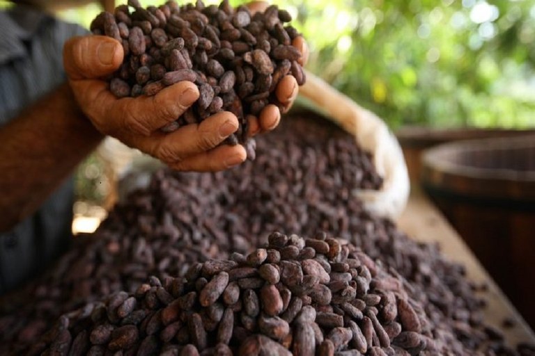 05-01-2018-F-chocolate.jpg 05-01-2018-F-chocolate.jpg