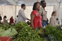 Hortaliças e verduras estão entre os itens onde foi registrada maior alta nos preços