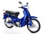 traxx-star-50.jpg