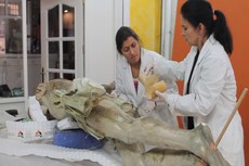 Além de identificar o escultor da estátua como Manuel Bal, o pergaminho revela informações sobre a data em que foi escondido e também indicações de como era a vida de então