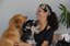hotel_pet-sílvia_maria-foto-edson_matos  (26).JPG