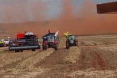 Safra de cereais, leguminosas e oleaginosas deve fechar o ano de 2018 com 227,2 milhões de toneladas contra 240,6 milhões do passado