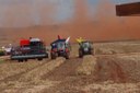 Safra de cereais, leguminosas e oleaginosas deve fechar o ano de 2018 com 227,2 milhões de toneladas contra 240,6 milhões do passado