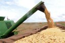 Produção chegou a 237,7 milhões de toneladas, segundo dados da Companhia Nacional de Abastecimento - Conab