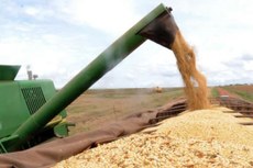 Produção chegou a 237,7 milhões de toneladas, segundo dados da Companhia Nacional de Abastecimento - Conab
