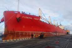 Navio Tiber atracou ontem no terminal de Cabedelo para serviço de desembarque de petcoke