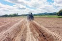 A produção de forragem para o rebanho durante o período de estiagem consta do plano da Gestão Unificada Emepa/Interpa/Emater