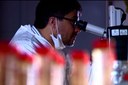 O estudo rastreou o caminho que o vírus percorre ao cair na corrente sanguínea, de modo similar ao que acontece após a picada do mosquito Aedes aegypti