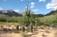 caatinga--montanha-f3280.jpg