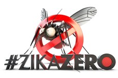 Selo da campanha Zika Zero foi lançado pelo governo federal