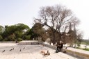 Palestina(1).jpg