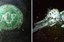 aviao_que_levava_a_chapecoense_2.jpg