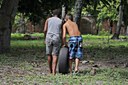Dos 68 mil imóveis, até agora, foram visitados 28.389, sendo 1.315 tratados com larvicida e 852 focos tratados