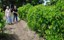 a31b5a8b-ba39-4c49-944c-54b1f4acc7ca.jpeg