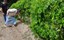 a5e05981-7ce6-490c-bc30-ea4b6e8af467.jpeg