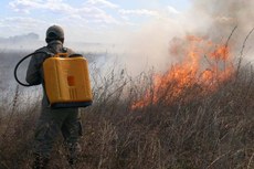 Este ano já foram combatidos 1.565 incêndios em vegetação, terrenos baldios ou em resíduos (como lixo) em todo o Estado