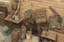 03-12-2017-aves.jpg