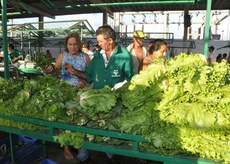 Na foto, registrada em 2019, mostra como era a rotina da feira. Por conta do coronavírus, a feira terá um número reduzido de agricultores expondo seus produtos, começará às 6h e se estenderá até às 9h e será realizada na área externa, em frente da empresa na estrada de Cabedelo.