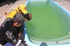 O trabalho com o Exército vem sendo realizado nos municípios de João Pessoa, Campina Grande, Cabedelo, Santa Rita e Bayeux