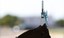 vacinacao_covid-19_vacina_fcpzzb_abr19062101582.jpg