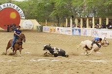 Envento do Parque Maria da Luz, em Campina Grande, é considerado tradicional pelos ‘desportistas’ e público aficionado