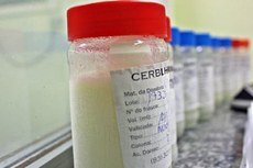 Para doar os frascos, sugerir campanhas ou gincanas para arrecadação dos utensílios, é só ligar para o banco de leite mais próximo