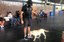 bfbaa3a4-f57a-468a-8311-40d662d16948.jpeg