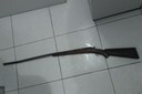 Micael Gomes da Silva, de 22 anos, foi preso ainda com a arma usada no crime