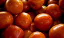 tomate_elza_fiuza_agencia_brasil.jpg tomate_elza_fiuza_agencia_brasil.jpg