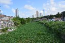 Foto: Roberto Guedes