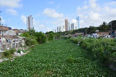 Foto: Roberto Guedes