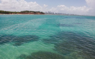 Preamar possibilitará a recuperação do meio ambiente e o desenvolvimento econômico