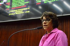 Segundo a deputada Estela Bezerra, a Medida Provisória aprovada pela Assembleia "regulariza uma data de extensão de prazo para a adesão dos devedores do Estado"