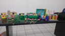 Programa_Criança_Feliz (3