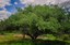 gira mundo professor projetos de educacao ambiental