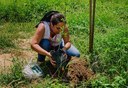 gira mundo professor projetos de educacao ambiental