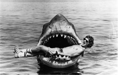 Após 45 anos desde sua estreia, o filme 'Tubarão' vem perdurando, conquistando fãs e sendo permanentemente revisitado