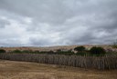 2020.07.19_apa do cariri_fazenda salambaia © roberto guedes (116).JPG